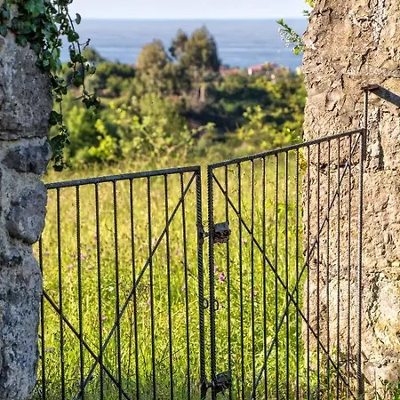 Отель Casa Rural Gallu Juancho 2*